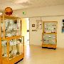 Odessa Meteor Crater Museum