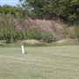 Robinson Gun Range