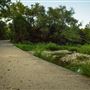 Duffau Creek