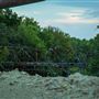 Golightly Bridge