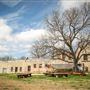Davis Feed Mill