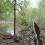 Mesquite Ranch