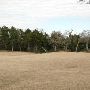 Hyatt Regency Lost Pines Resort & Spa - Wolfdancer Golf Club