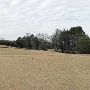 Hyatt Regency Lost Pines Resort & Spa - Wolfdancer Golf Club
