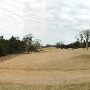 Hyatt Regency Lost Pines Resort & Spa - Wolfdancer Golf Club