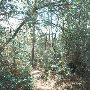 McKinney Roughs Nature Park