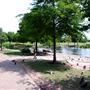 Mueller Lake Park