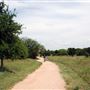 Mueller Lake Park