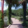 Mueller Lake Park