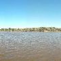 Buescher State Park