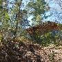 Buescher State Park