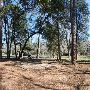 Buescher State Park
