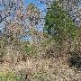 Buescher State Park