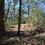 Buescher State Park