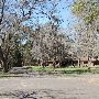 Buescher State Park