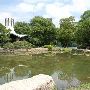 Auditorium Shores