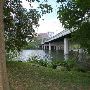 Auditorium Shores