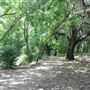 Judson Nature Trails
