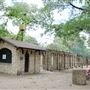 Brackenridge Park