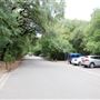 Brackenridge Park