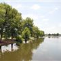 Elmendorf Lake Park