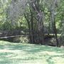 Pecan Creek Trail