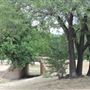 Pecan Creek Trail
