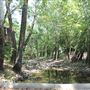 Pecan Creek Trail