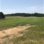 The Flying H Ranch