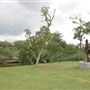 Concho River