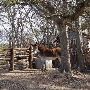 Pioneer Farms