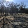 Texas Frontier Trails Western Heritage Park