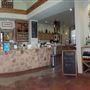 Texas Hill Country Olive Company