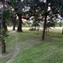 Obregon Ranch