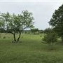 Obregon Ranch