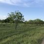 Obregon Ranch