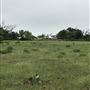 Obregon Ranch