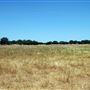 Old Ponderosa Ranch