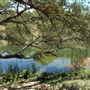 Old Ponderosa Ranch