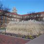 Texas Tech University