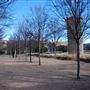Texas Tech University