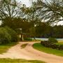 The Back Forty Ranch