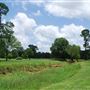 Wildcat Golf Course