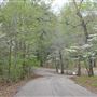 Davey Dogwood Park