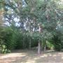 Waldhauser Property