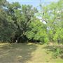 Waldhauser Property