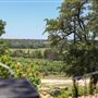 Bluff Dale Vineyards