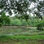Texas State Railroad