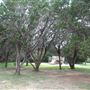 Mary Moore Searight Metropolitan Park