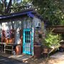Eye of the Dog Art Center